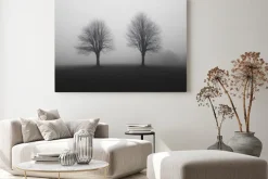 Obraz: Mglista sceneria z drzewami czarno biały pejzaż natury