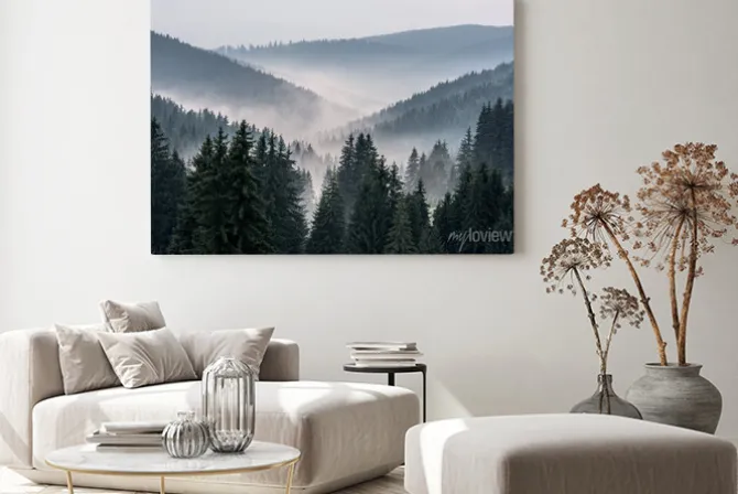 Obraz: Mgliste doliny z drzewami sosnowymi