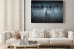 Obraz: Mglisty krajobraz las iglasty