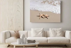 Obraz: Morska plaża z rozgwiazdami i morzem w tle