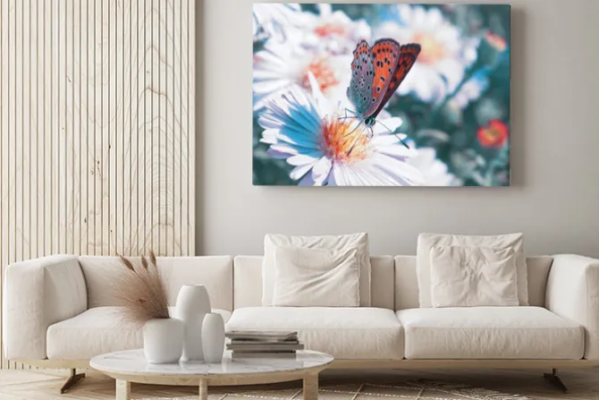 Obraz: Motyl na kwiat