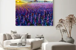 Obraz: Oil flower field painting purple lavender lupine flowers at sunrise