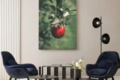 Obraz: Organic apples hanging from a tree branch in an apple orchard