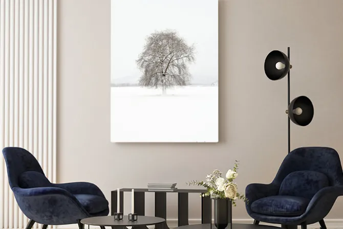 Obraz: Pejzaż zimowy