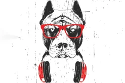 Obraz: Pies w okularach przeciwsłonecznych z słuchawkami