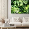 Obraz: Piękne zielone liście tropikalne monstera