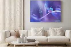 Obraz: Piękny niebieski motyl na źdźbło trawy w przyrodzie z miękkim