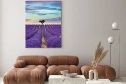 Obraz: Pola lawendy z drzewem