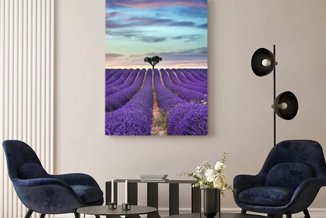 Obraz: Pola lawendy z drzewem