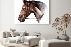 Obraz: Pomalowane na kolor zwierzęcej strony konia