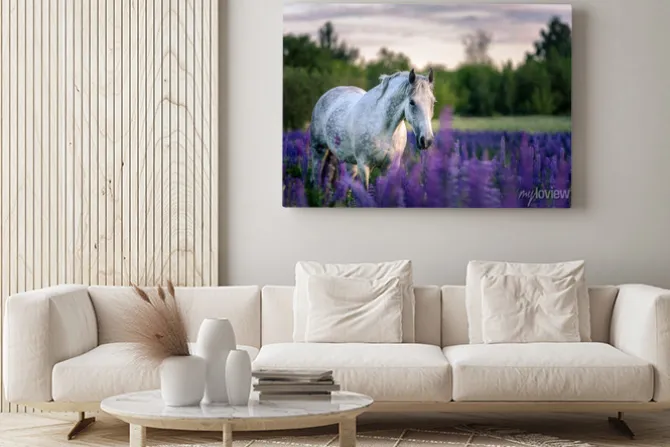 Obraz: Portret szarego konia wśród kwiatów łubinu