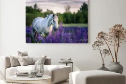 Obraz: Portret szarego konia wśród kwiatów łubinu
