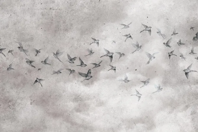 Obraz: Ptaki na betonowym tle w stylu loft