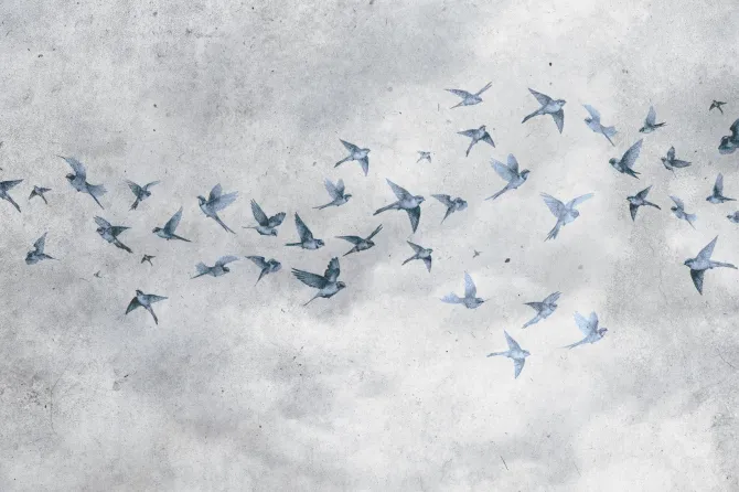 Obraz: Ptaki na betonowym tle w stylu loft