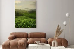 Obraz: Punkt widzenia na szczycie cameron highland, doliny herbaty i