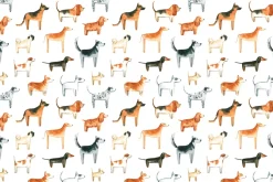 Obraz: Rasowe psy na białym tle