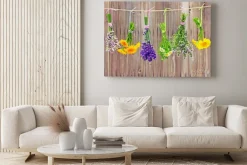 Obraz: Suszące się polne kwiaty