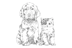 Obraz: Szkicowany rysunek psa i kota