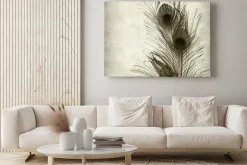 Obraz: Teksturowane stare tło papieru z pawim piórem