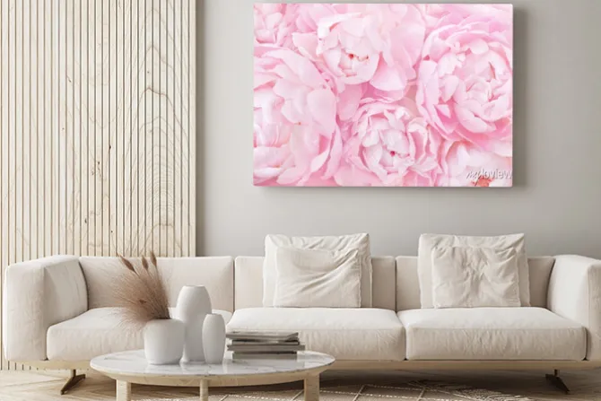 Obraz: Tło z różowych piwonii
