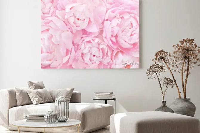 Obraz: Tło z różowych piwonii