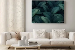 Obraz: Tropical foliage background