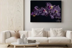 Obraz: Violet orchid flower on black background close up..