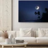 Obraz: Światło księżyca