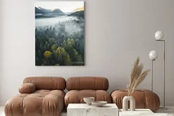 Obraz: Widok z góry na drzewa we mgle