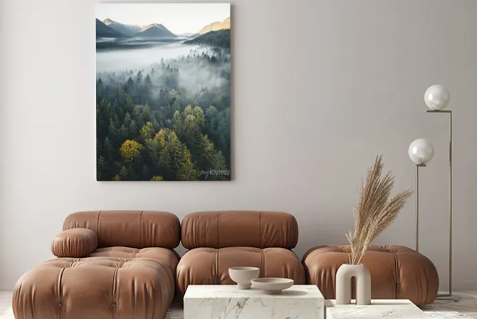 Obraz: Widok z góry na drzewa we mgle