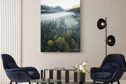 Obraz: Widok z góry na drzewa we mgle