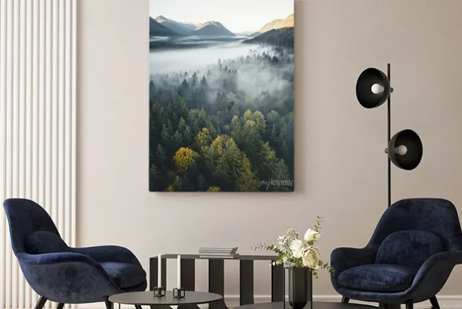 Obraz: Widok z góry na drzewa we mgle