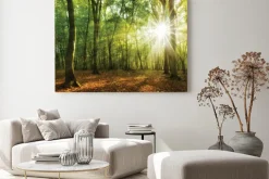 Obraz: Wschód słońca w lesie promienie światła wśród drzew