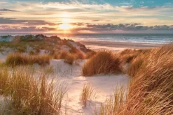 Obraz: Wydmy nad morzem o wschodzie słońca