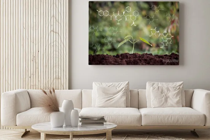 Obraz: Young plant growing from soil with chemical formula screen, ecology