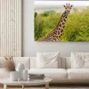 Obraz: Żyrafa