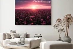 Obraz: Zachód słońca z różowym niebem nad łąką pełną kwiatów