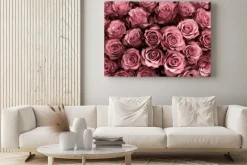 Obraz: Zbliżenie na różowe róże
