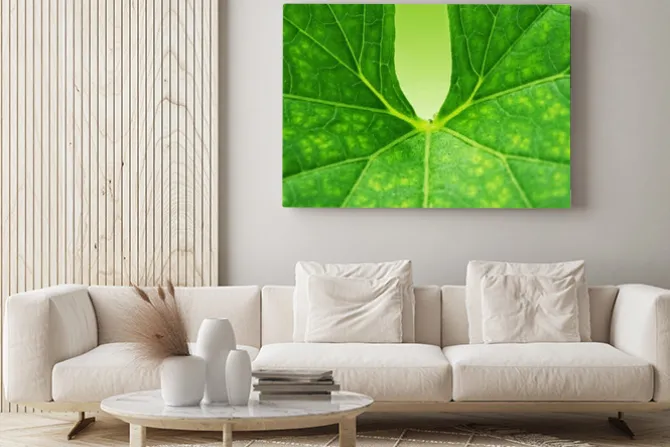 Obraz: Zielony liść w tle