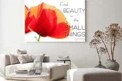Obraz: Znajdź piękno w małych rzeczach. motywacja inspirujący cytat
