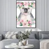 Plakat: A poster with a koala. watercolor cartoon koala tropical animal