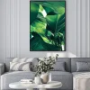 Plakat: Abstract tropical green leaves pattern on white background, lush