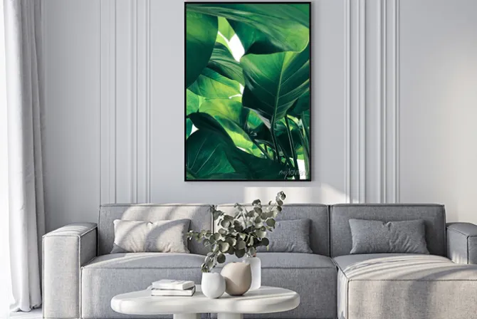 Plakat: Abstract tropical green leaves pattern on white background, lush