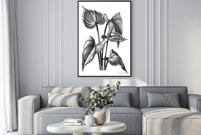 Plakat: Anturium botaniczne rocznika grawerowanie ilustracja clipart