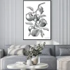 Plakat: Apple branch hand drawing vintage engraving illustration isolate