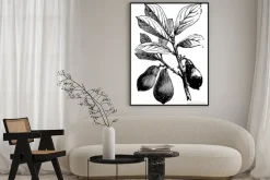 Plakat: Avocado vintage illustration.