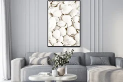 Plakat: Białe muszelki fotografia w stylu boho