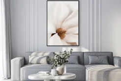 Plakat: Biały kwiat magnolia z bliska