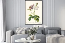 Plakat: Botaniczna ilustracja z gałązką róży