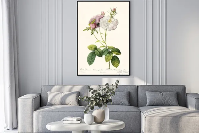 Plakat: Botaniczna ilustracja z gałązką róży